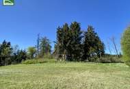 Aus alt mach neu - Historisches Einfamilienhaus in Alleinlage am Hügel in Bad Großpertholz mit großem Garten - JETZT ANFRAGEN