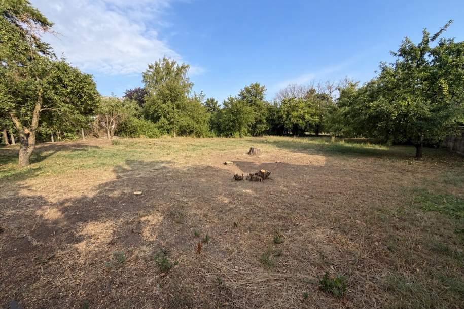 633 m² Baugrund in Baumgarten – Altbestand abgetragen, Aufschließung bezahlt, Grund und Boden-kauf, 219.000,€, 3441 Tulln