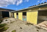 Reiterparadies im Weinviertel – Ihr Traum vom Landleben!