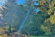 Traumhaftes großes Baugrundstück in Zwentendorf !