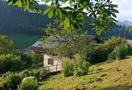 Landhaus mit viel Natur und traumhaftem Bergpanorama !