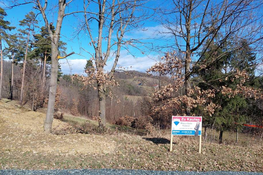 Sonniges Grundstück in Ruhelage, Grund und Boden-kauf, 62.000,€, 7540 Güssing