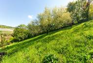 Supergemütliches Einfamilienhaus mit großem Garten und Natur-Biotop - beziehbar ab August 2026!