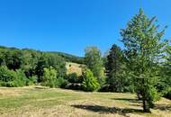 RARITÄT - IDYLLE PUR!! LANDHAUS MIT AUSBLICK IN SONNIGER RUHELAGE