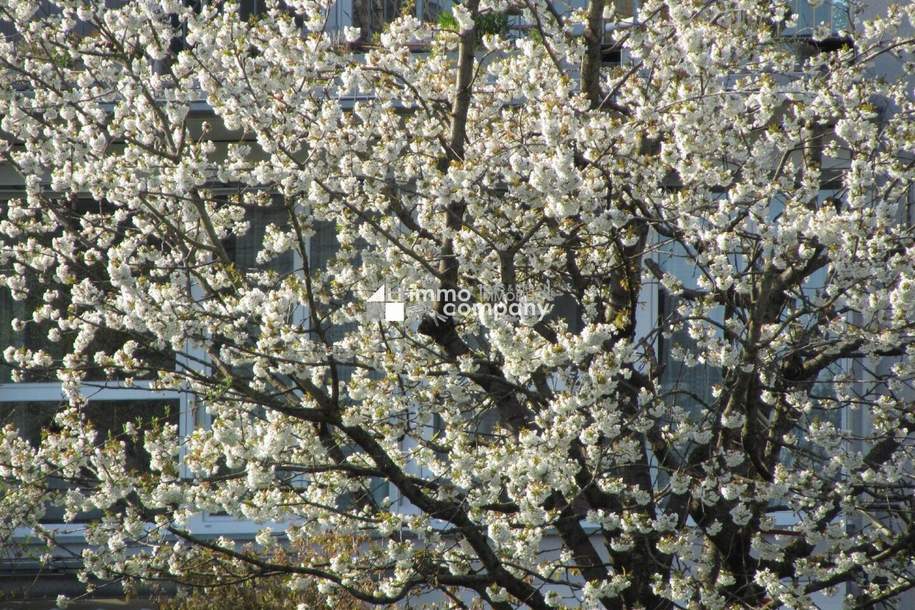 Schöne und große Wohnung. - Sonnig, tolle Aussicht !, Wohnung-kauf, 320.000,€, 4020 Linz(Stadt)