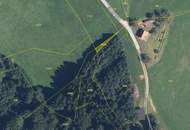 3,7 Ha. Wald in Nestelbach bei Graz zu kaufen