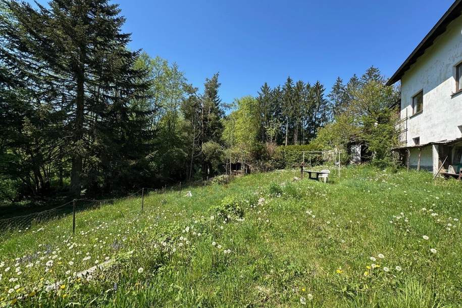 WALDING: Baugrundstück ca. 1020 m² (mit Altbestand) in sehr guter und begehrter Lage, Grund und Boden-kauf, 219.000,€, 4111 Urfahr-Umgebung