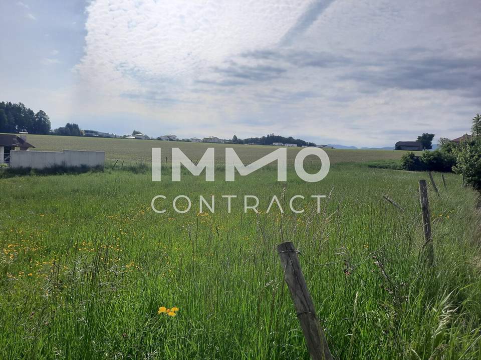 **Schönes sonniges Grundstück im Kurort Bad Hall**