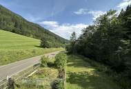***Uriges Haus aus 1920 mit viel Potenzial – Naturidylle in Au bei Turnau***