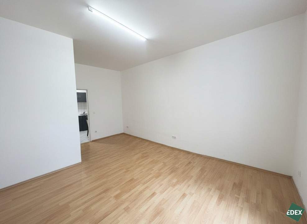 Sanierungsbedürftige 1-Zimmer-Altbauwohnung im EG nahe UKH Lorenz Böhler