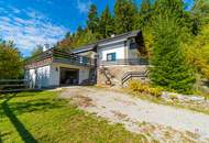 Privatsphäre, Seeblick und Natur – Einfamilienhaus am Sonnenplateau des Millstätter See