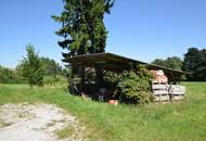 Landwirtschaft in Kirnberg– ca. 16 ha Grund