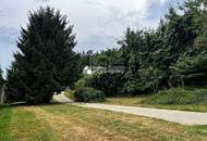 Versteckte Oase am Wörthersee – Ihr Einfamilienhaus mit Potential um 395.000 €