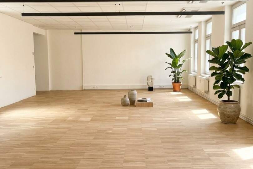 NEU | ERSTBEZUG | IHR NEUER UNTERNEHMENSSTANDORT "KIRSCHBLÜTE" IN BADEN, Gewerbeobjekt-miete, 3.074,24,€, 2500 Baden