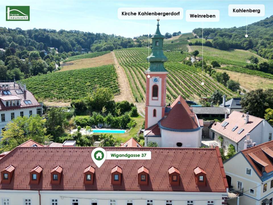 Geräumiger Wohntraum mit einem traumhaften Blick zu den Weinberger - Traumhafte Lage im 19.