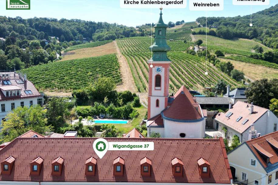 Geräumiger Wohntraum mit einem traumhaften Blick zu den Weinberger - Traumhafte Lage im 19., Wohnung-kauf, 1.710.226,€, 1190 Wien 19., Döbling