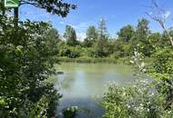 Wald – Wiese – Bach - Ihre Wohnoase zum Entspannen mit toller Infrastruktur