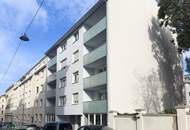 NUR DIE HARTEN SOLLEN IN DEN GARTEN