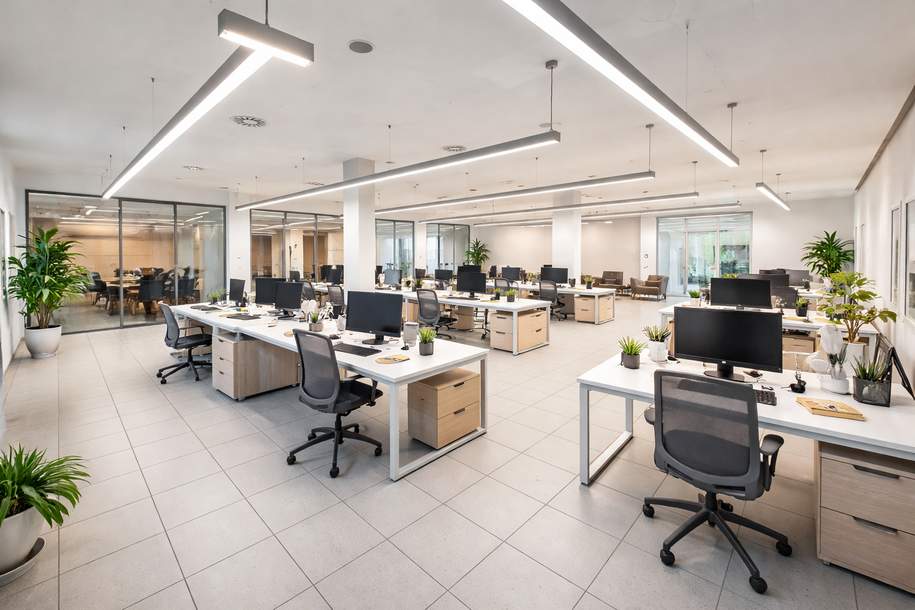 Umsatzstarker Standort auf der Thaliastraße – Top Frequenz für Ihr Geschäft!, Gewerbeobjekt-miete, 8.001,24,€, 1160 Wien 16., Ottakring