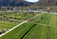 TRADITIONSREICHER WINZERHOF MIT PENSION &amp; HEURIGEN IN BESTER WACHAUER LAGE