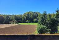 Idyllisches Holzblockhaus in Naturrandlage