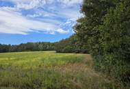 Landwirtschaftliche Grundstücke in Neuberg