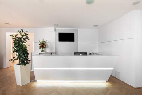 Flexible Arbeitsplätze in Regus Graben 19, Gewerbeobjekt-miete, 1010 Wien 1., Innere Stadt