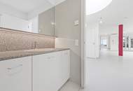 Exklusive Penthouse-Wohnung nahe Gersthof, mit Fernblick und zwei Terrassen