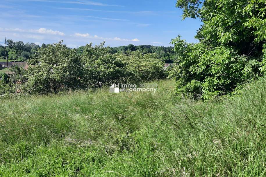 Traumhaftes Baugrundstück in Thallern: 4392 m² für Ihr Eigenheim um nur 249.000 €!, Grund und Boden-kauf, 249.000,€, 3454 Tulln