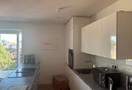 1030! Wunderschöne DG Wohnung mit großer Terrasse Nähe Urania!