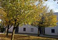Top ausgestattetes GARTENAPARTMENT mit einer EXTRA TERRASSE und einem TIEFGARAGENPLATZ