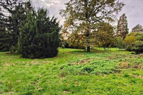 Traumhafte Fahnenparzelle am Fuße des Bisambergs, Grund und Boden-kauf, 1.050.000,€, 1210 Wien 21., Floridsdorf