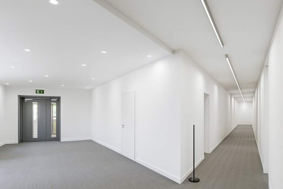 Erstbezug! Geräumiges 5-Zimmer Büro in Toplage, Gewerbeobjekt-miete, 6.416,31,€, 1010 Wien 1., Innere Stadt