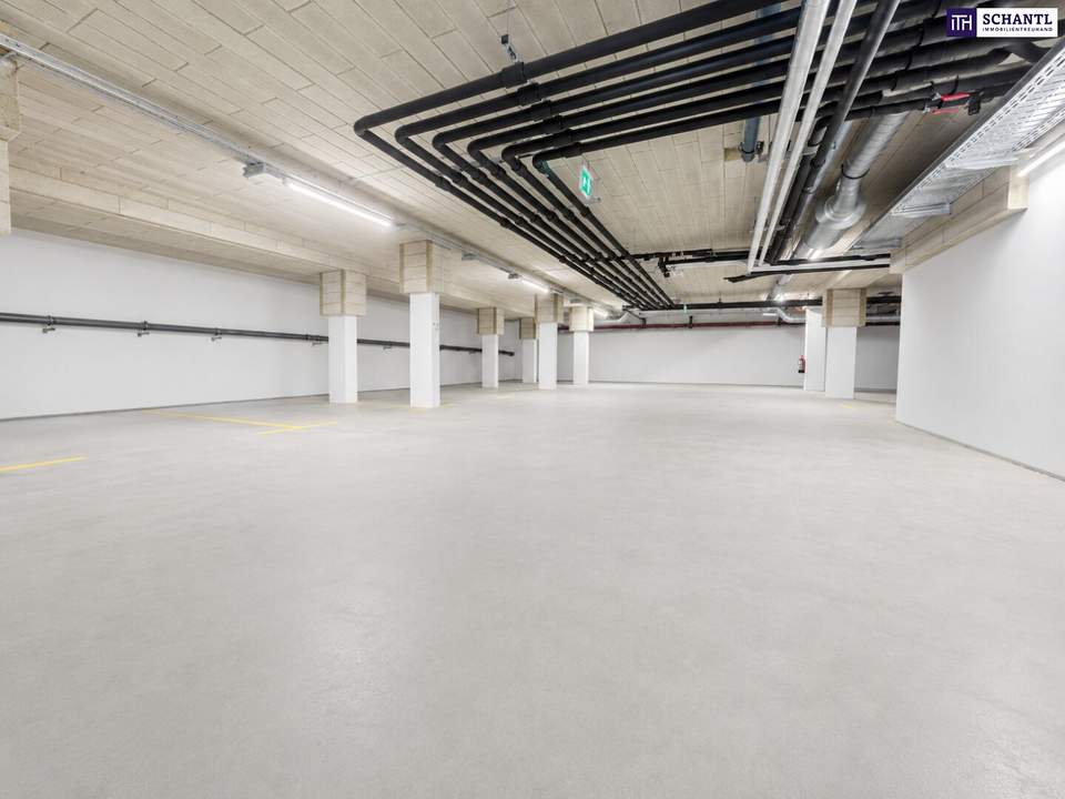 Attraktives Paket aus Lagerfläche &amp; Garagenplätze im Zentrum von Schwechat: nahe zum Bahnhof und zum Hauptplatz!