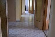 Sofort bezugsfertiger Bungalow mit Gartenparadies! 60 min von Wien!