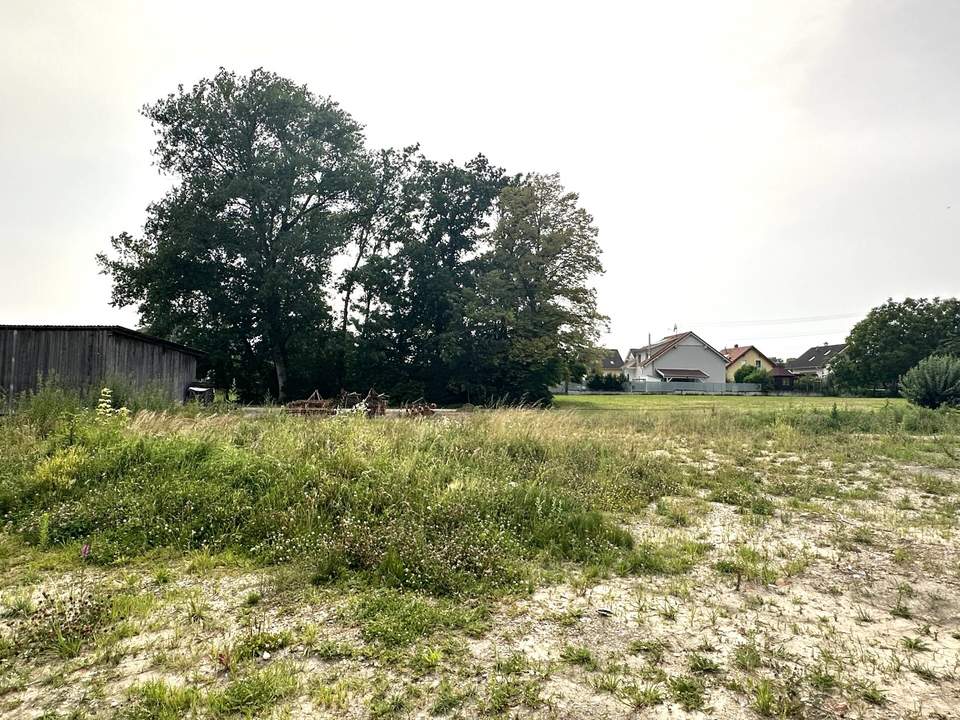 AUSSERGEWÖHNLICH, RUHIGE WOHNLAGE IN TRESDORF OHNE BAUZWANG