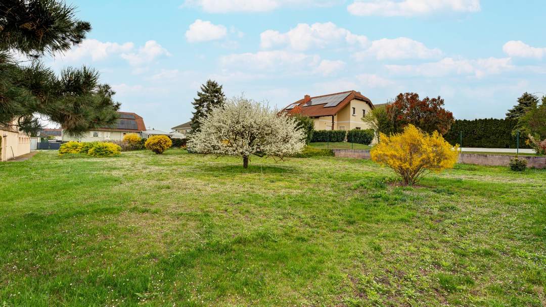 Eckgrundstück? Einmalige Chance in TOP Lage von Untersiebenbrunn!