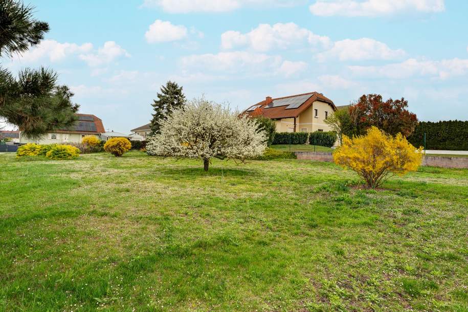 Eckgrundstück? Einmalige Chance in TOP Lage von Untersiebenbrunn!, Grund und Boden-kauf, 199.000,€, 2284 Gänserndorf