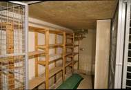 Einziehen und wohlfühlen! Moderne 2-Zimmerwohnung in Grün- und Ruhelage mit Terrasse und Eigengarten – Carport inklusive!