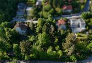 Mitten im Grünen und trotzdem in Wien – Südseitiges Baugrundstück in idyllischer Waldrandlage