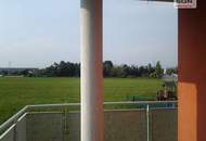 Über Ihnen die Sterne