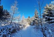 Neuwertige Gartenwohnung in ruhiger Lage