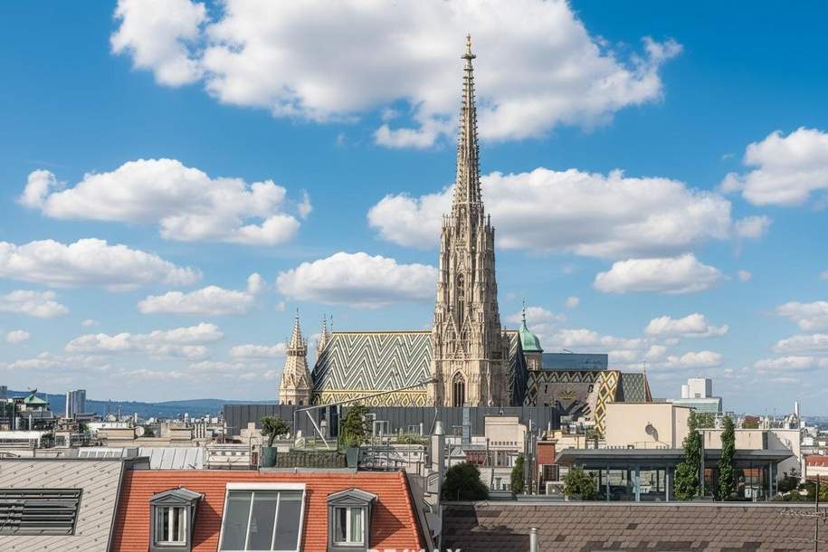 4 Zimmer -100m2 Dachterrasse, Wohnung-miete, 4.990,00,€, 1010 Wien 1., Innere Stadt