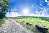 360° TOUR // HIDE AWAY MIT POOL & FERNBLICK