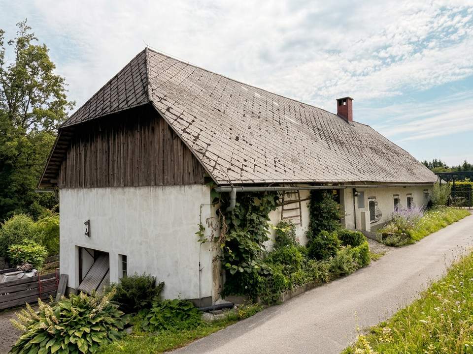 Sacherl in Ruhelage - Ein Platz zum Durchatmen