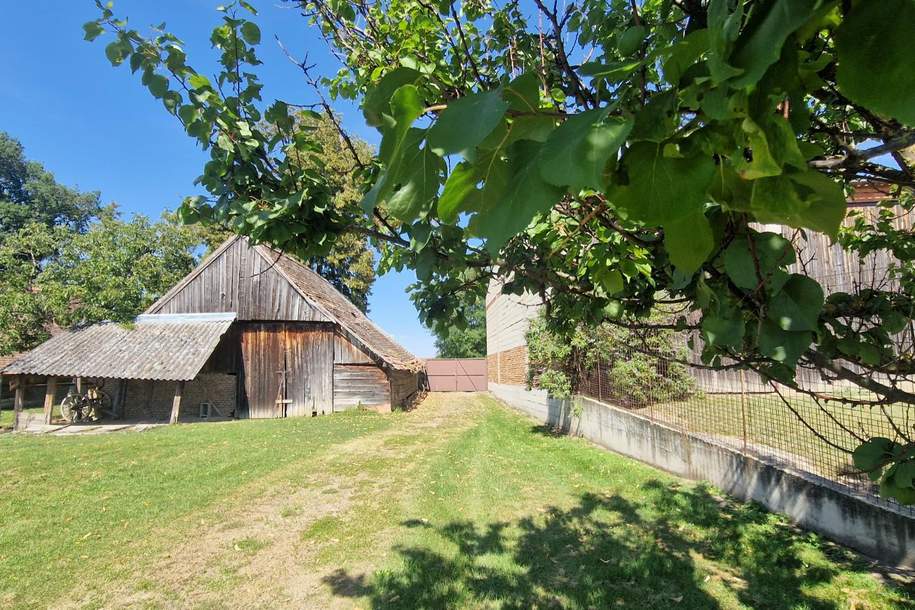 OPEN HOUSE! Charaktervolles altes Bauernhaus mit großzügigem Nebengebäude, Haus-kauf, 199.000,€, 2143 Mistelbach