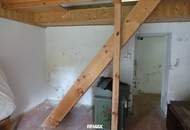 NATUR PUR - Wohnhaus in außergewöhnlicher Lage und großem Grundstück!