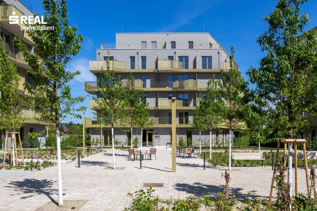 Hirschfeld - Ihr neues Zuhause im Grünen - anfragen, besichtigen, einziehen - 41 bis 96 m²