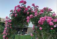 Traumlage über der Drau – Haus in Maria Elend