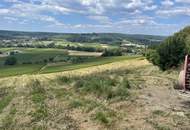Bad Waltersdorf: Weinberge, Ackerflächen und Wald für experimentierfreudige Winzer oder Landwirte mit Vision